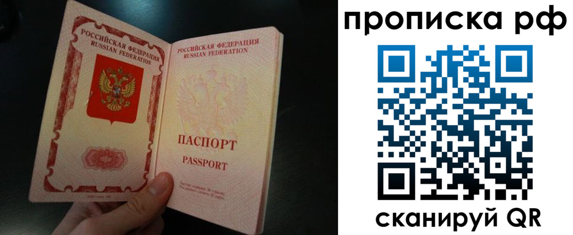 прописка законно в Почепе