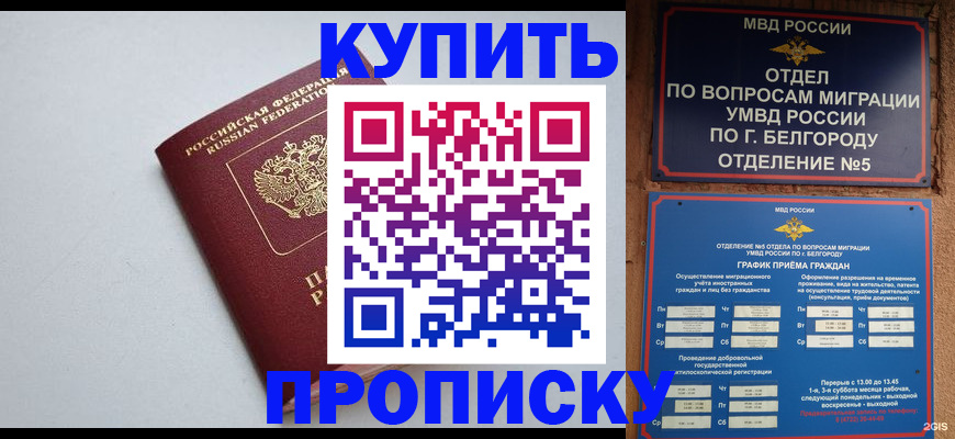 прописка регистрация в Почепе
